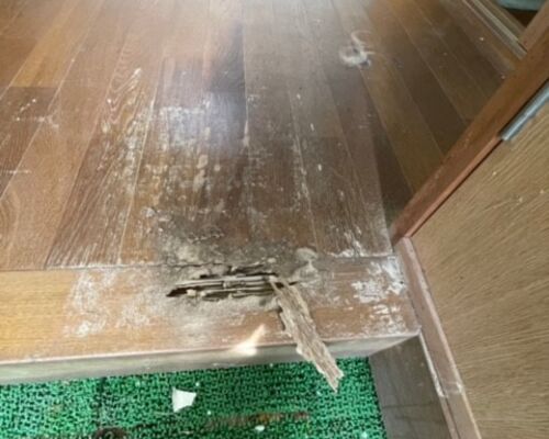 古山邸シロアリ➀